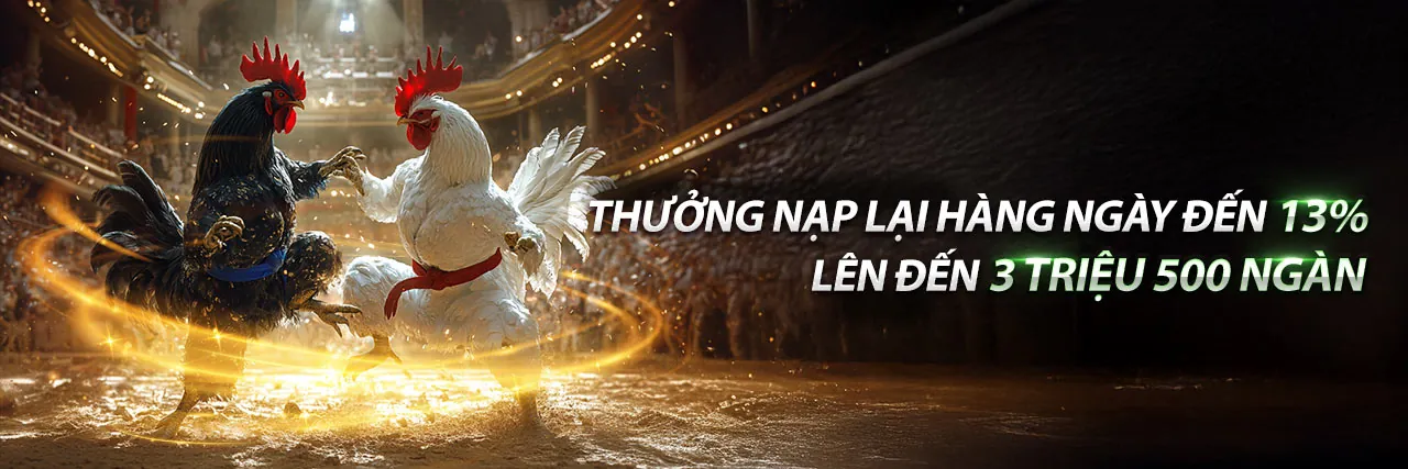 Tổng quan về win23 bet