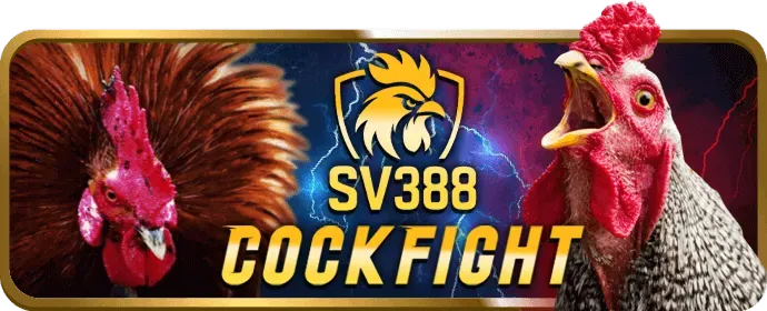 Ưu đãi chào mừng thành viên mới win23 bet